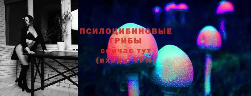 где продают   Беслан  Псилоцибиновые грибы Magic Shrooms 